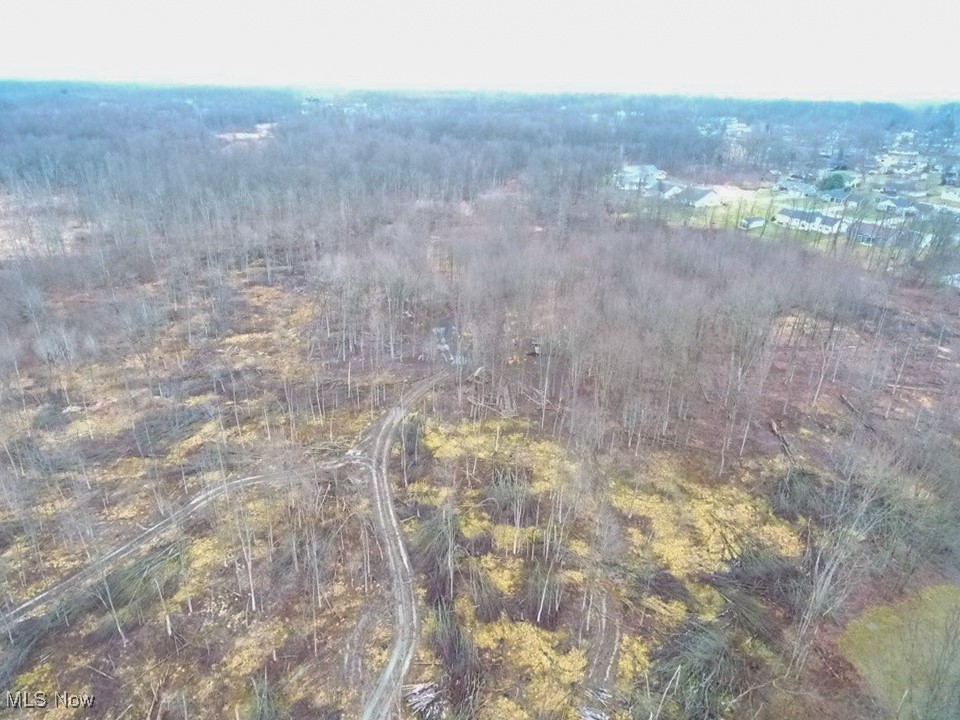 Old Colony Road Northwest Warren, OH 44481 - Photo 4 of 4