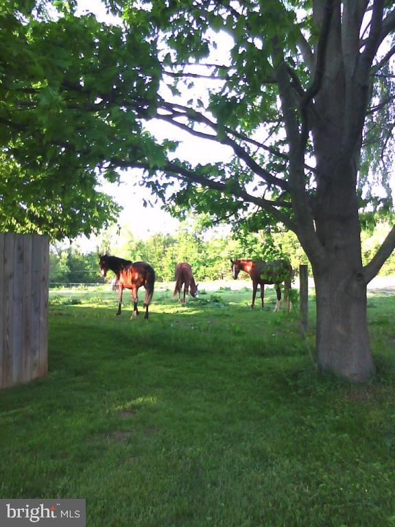 323 Black Road Quarryville, PA 17566 - Photo 42 of 48 Gallery Image 42