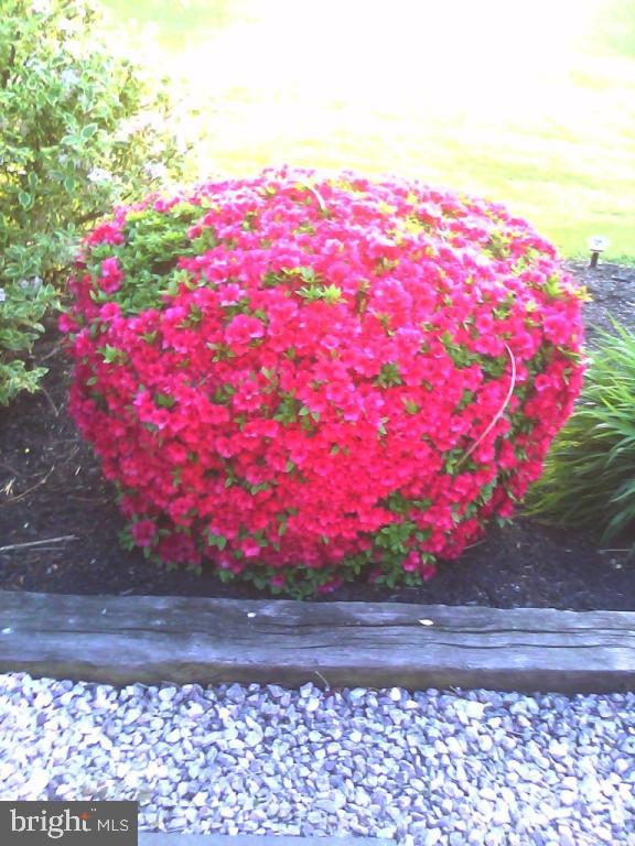 323 Black Road Quarryville, PA 17566 - Photo 46 of 48 Gallery Image 46