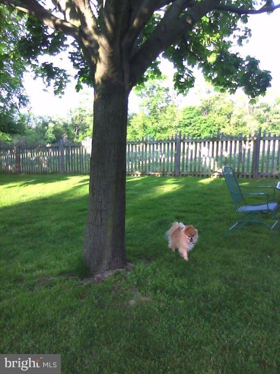 323 Black Road Quarryville, PA 17566 - Photo 6 of 48 Gallery Image 6