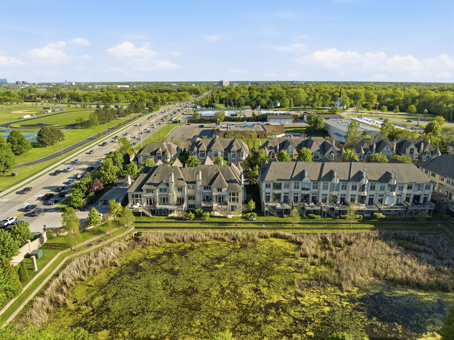 1406 Rue Paris Place Inverness, IL 60067 - Photo 34 of 35 a view of a city