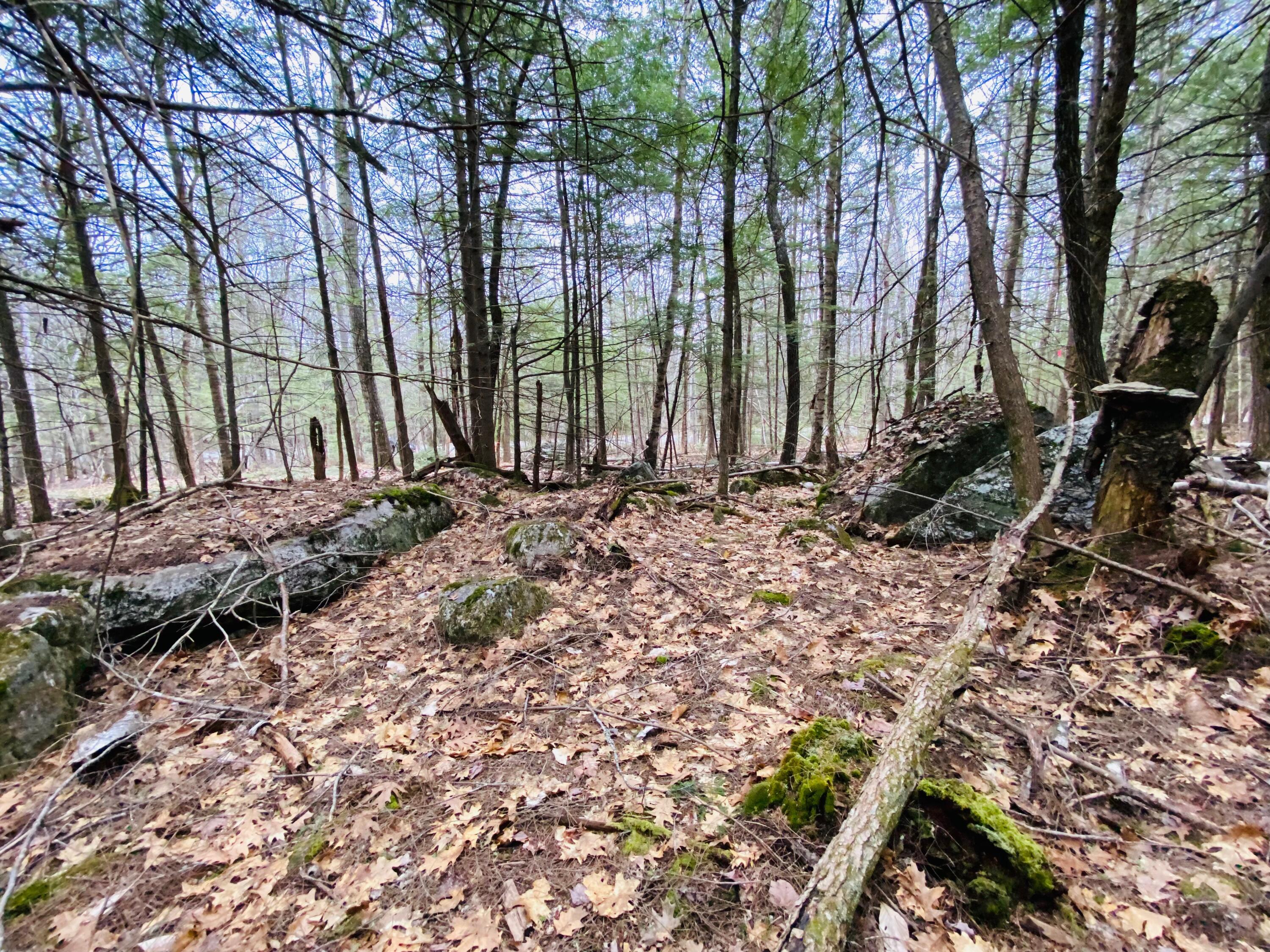 45 Shore Road Kents Hill, ME 04349 - Photo 17 of 47 BUILDING LOT