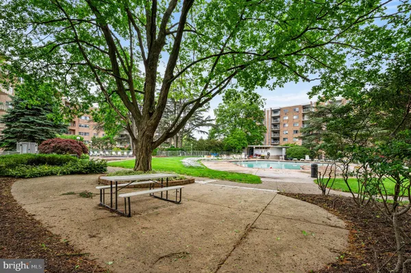 a park view with a bench and trees
