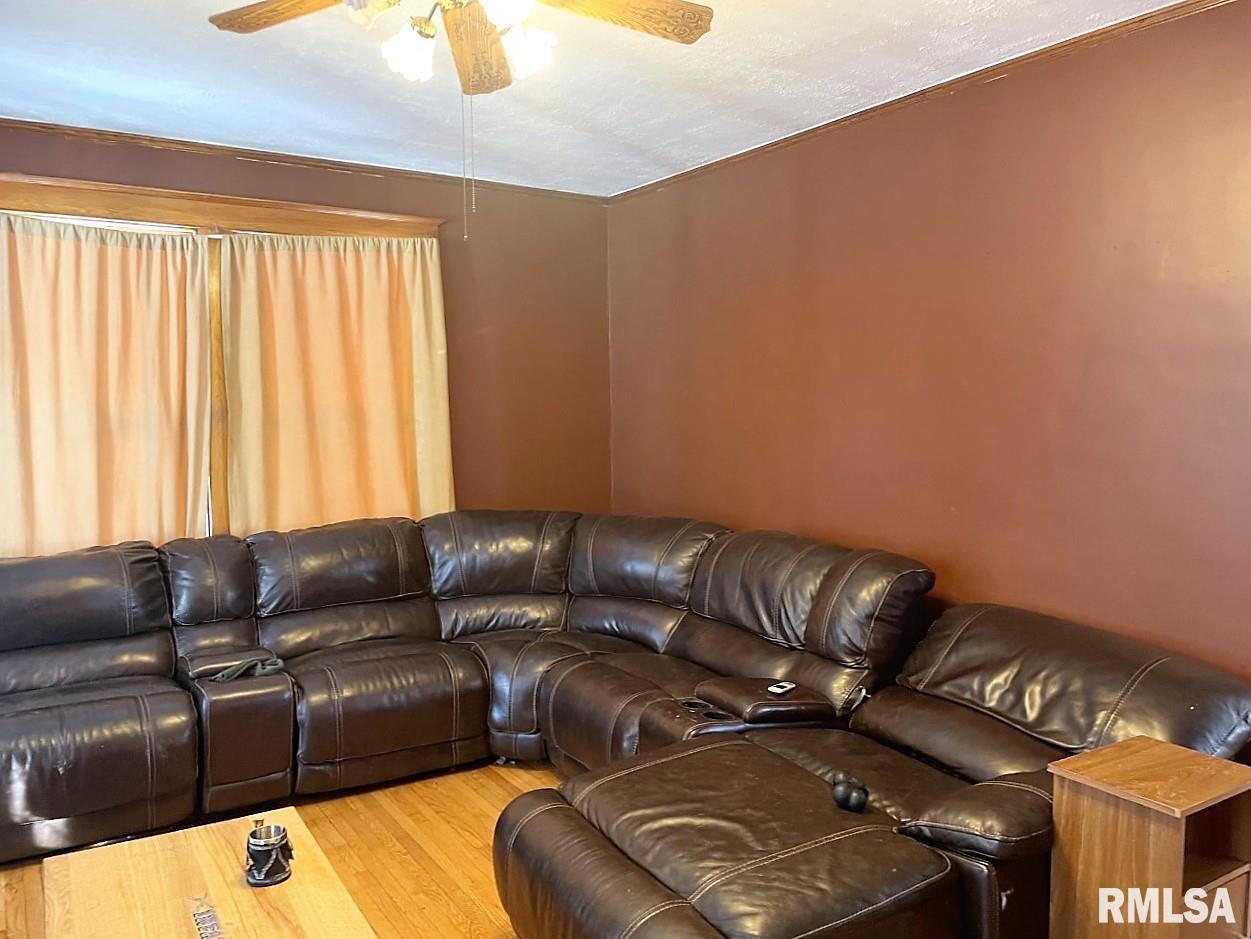 131 South Center Street Oneida, IL 61467 - Photo 6 of 21 Gallery Image 6