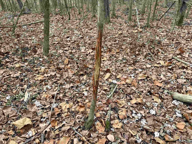 $385,000 | 2411 Highway 62, Boonville, IN 47601