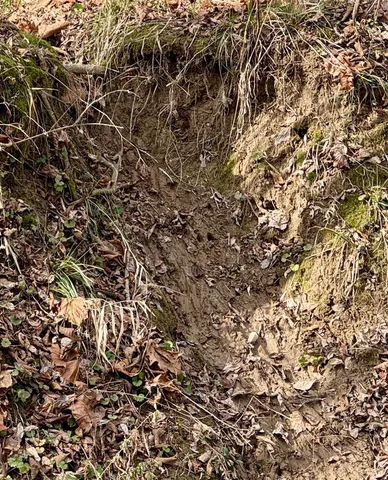 $385,000 | 2411 Highway 62, Boonville, IN 47601