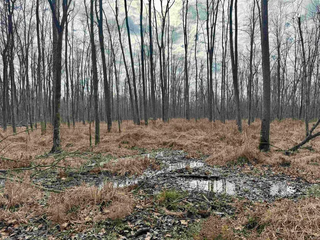 $385,000 | 2411 Highway 62, Boonville, IN 47601