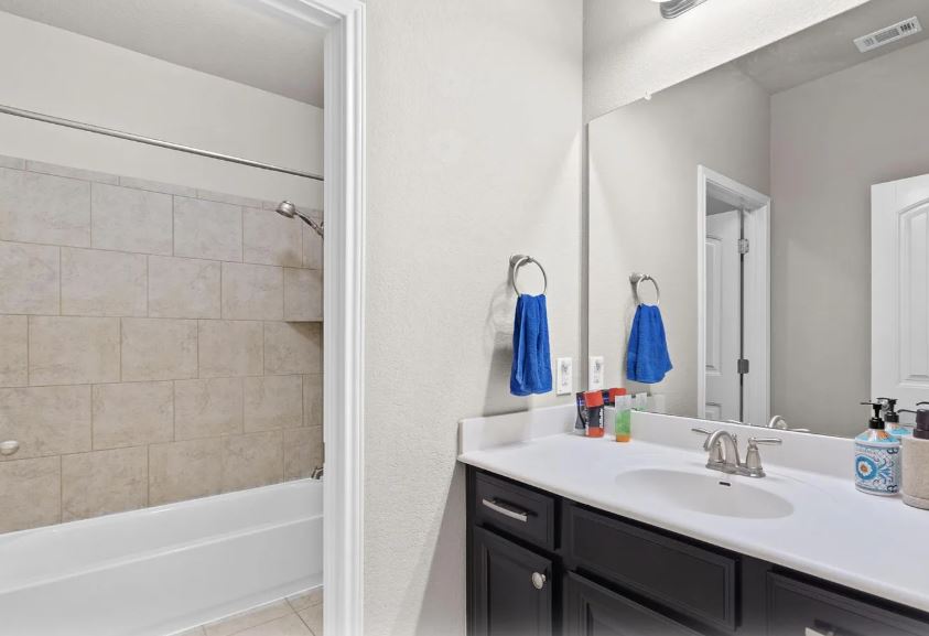 2781 Santa Ana Lane Round Rock, TX 78665 - Photo 16 of 22 a bathroom with a double vanity sink a tub and a mirror