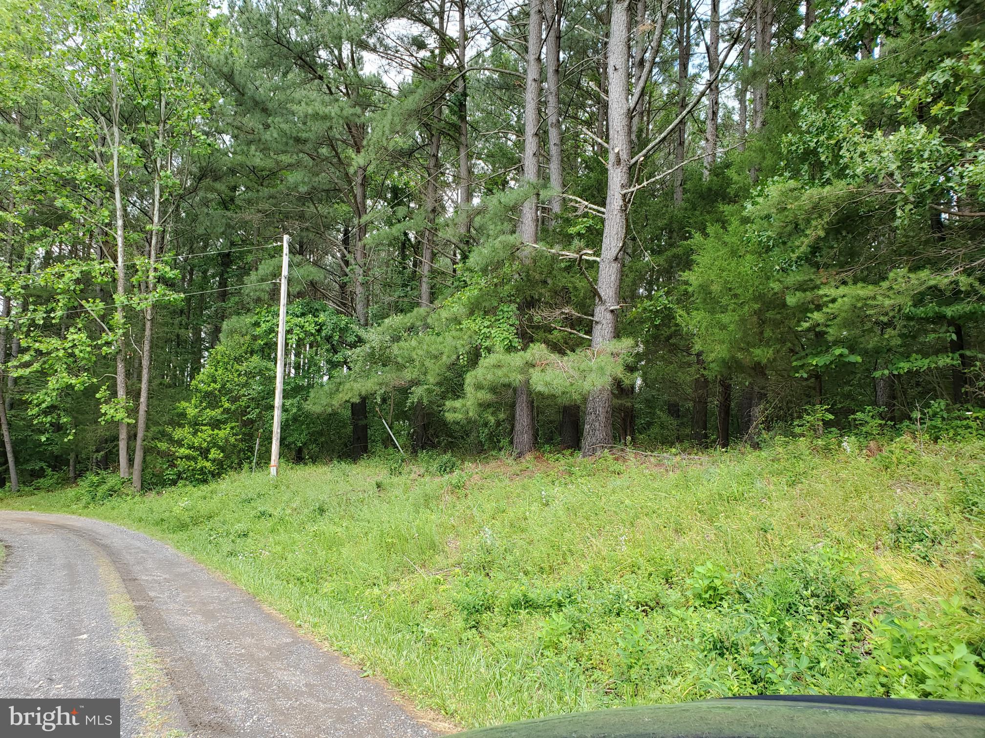 0 Ridgeview Lane Castleton, VA 22716 - Photo 13 of 30 Powerlines at property