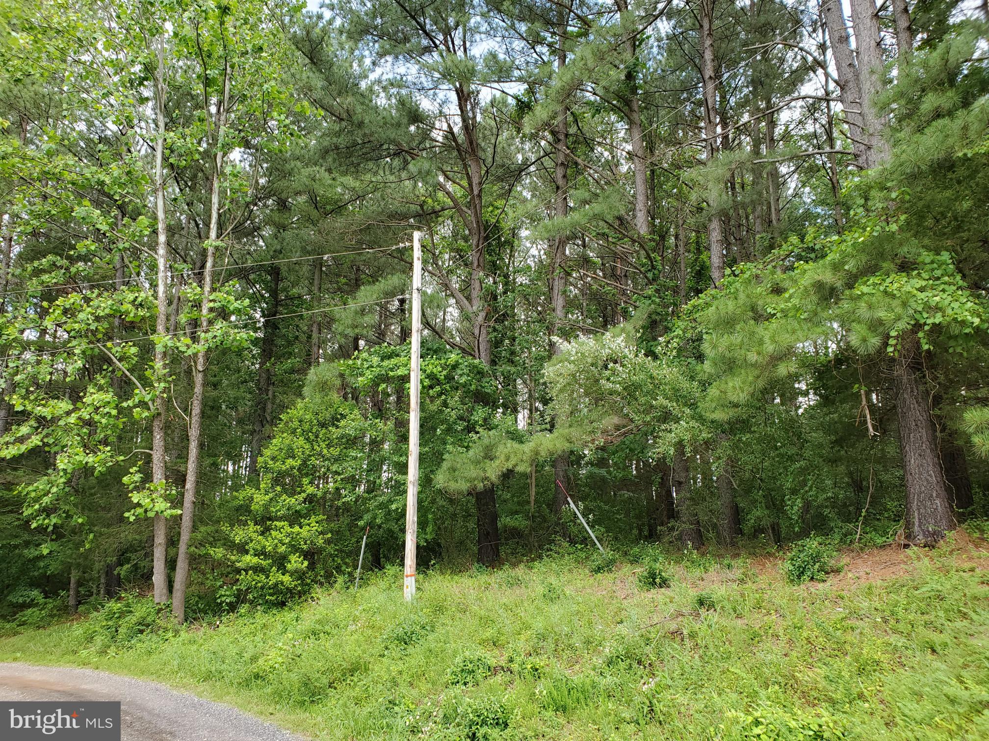0 Ridgeview Lane Castleton, VA 22716 - Photo 15 of 30