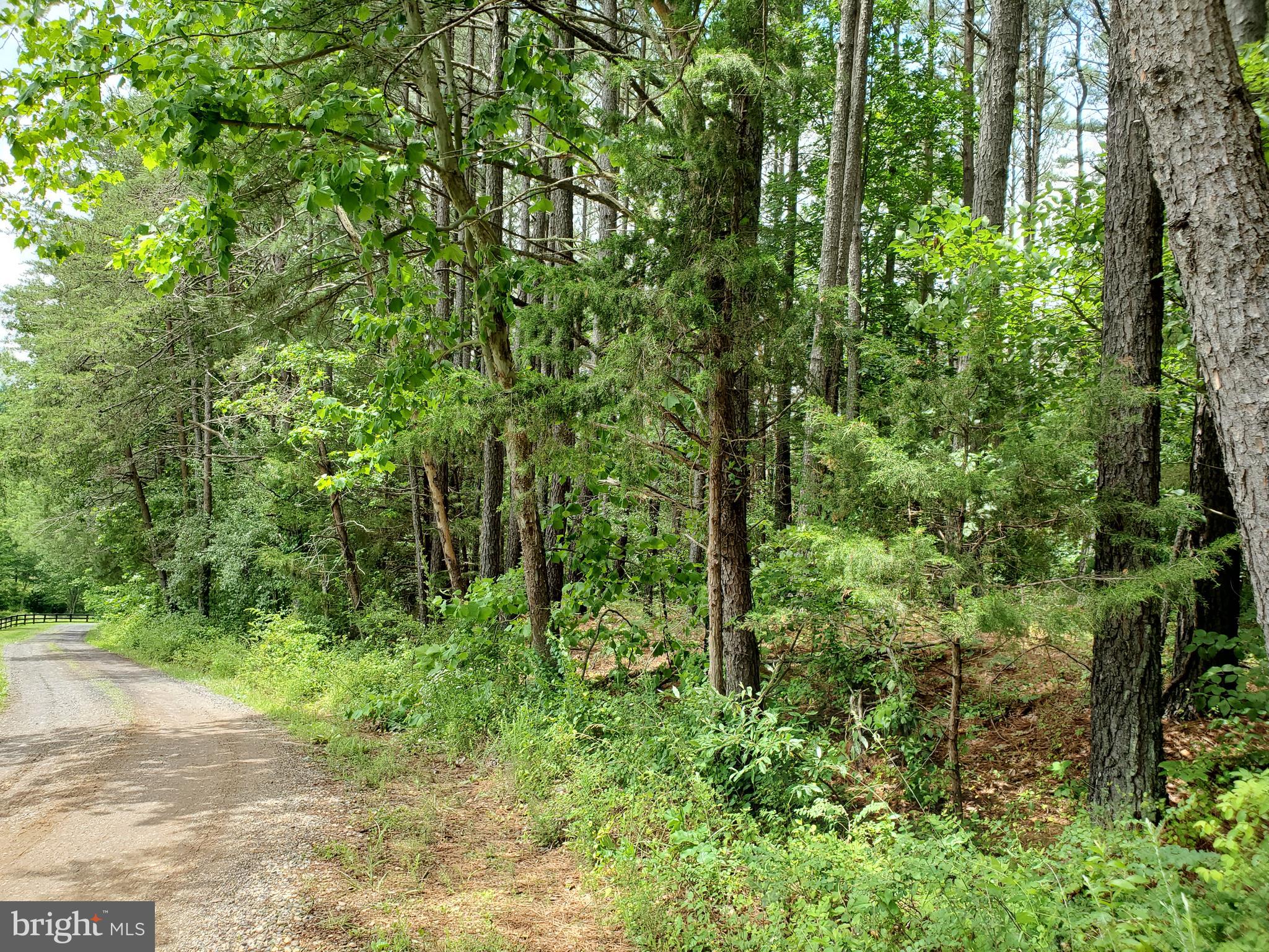 0 Ridgeview Lane Castleton, VA 22716 - Photo 17 of 30