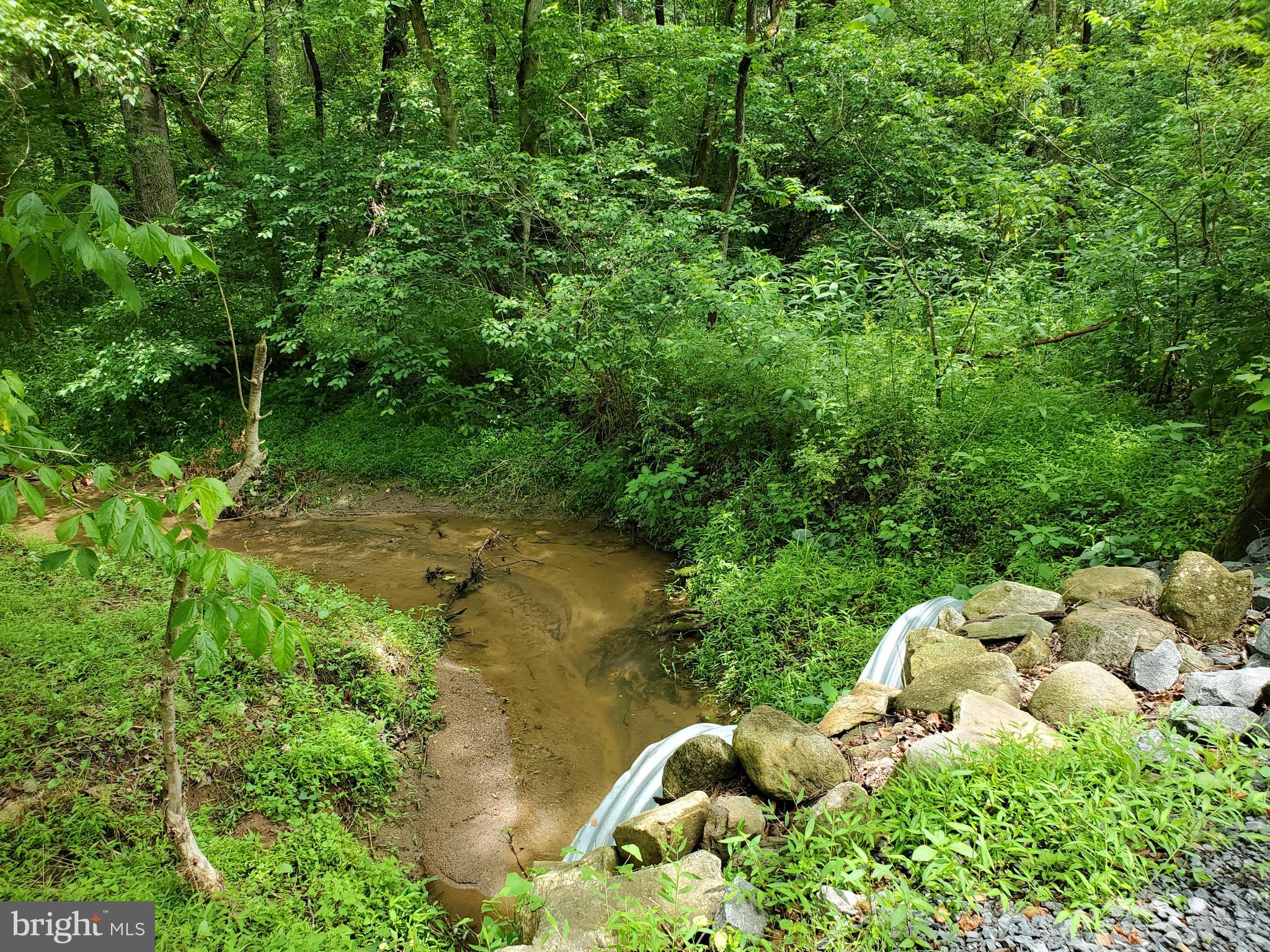 0 Ridgeview Lane Castleton, VA 22716 - Photo 3 of 30 Strong spring fed creek
