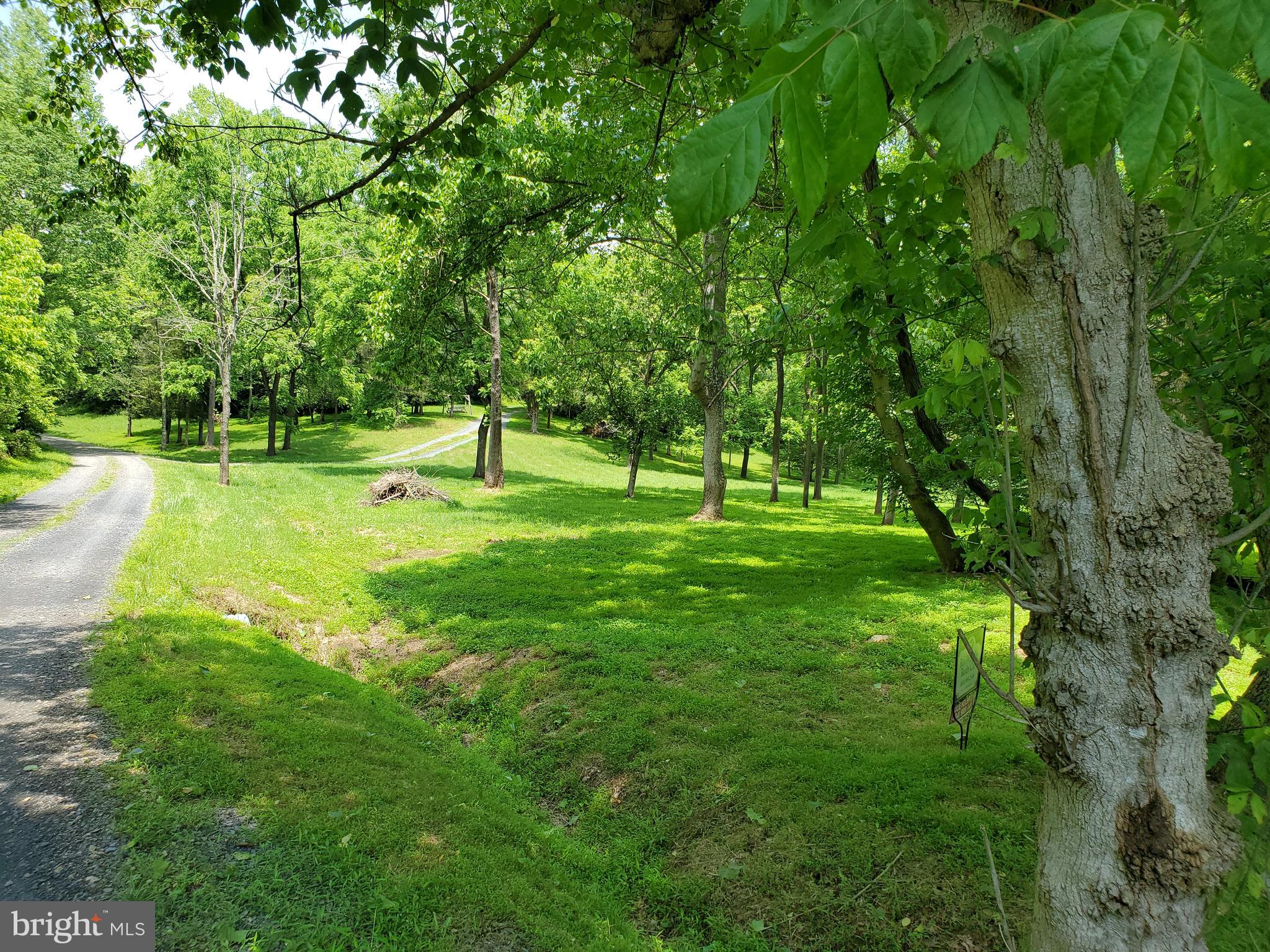 0 Ridgeview Lane Castleton, VA 22716 - Photo 21 of 30