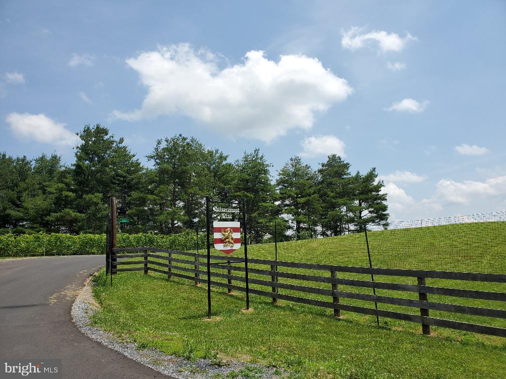 0 Ridgeview Lane Castleton, VA 22716 - Photo 23 of 30 Minutes from Local Winery