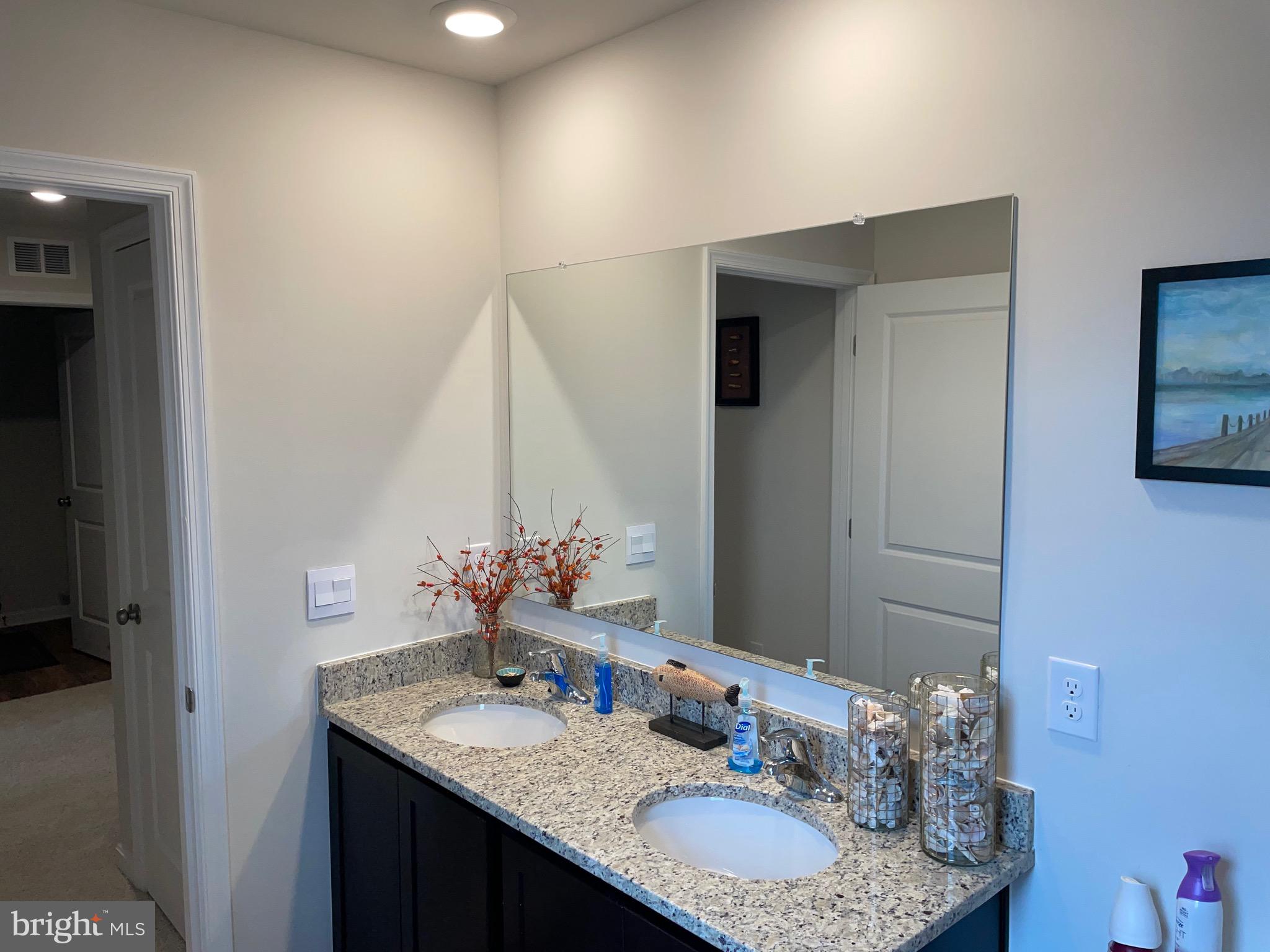 6088 Deborah Drive Spring Grove, PA 17362 - Photo 38 of 59 2nd bath features double sinks
