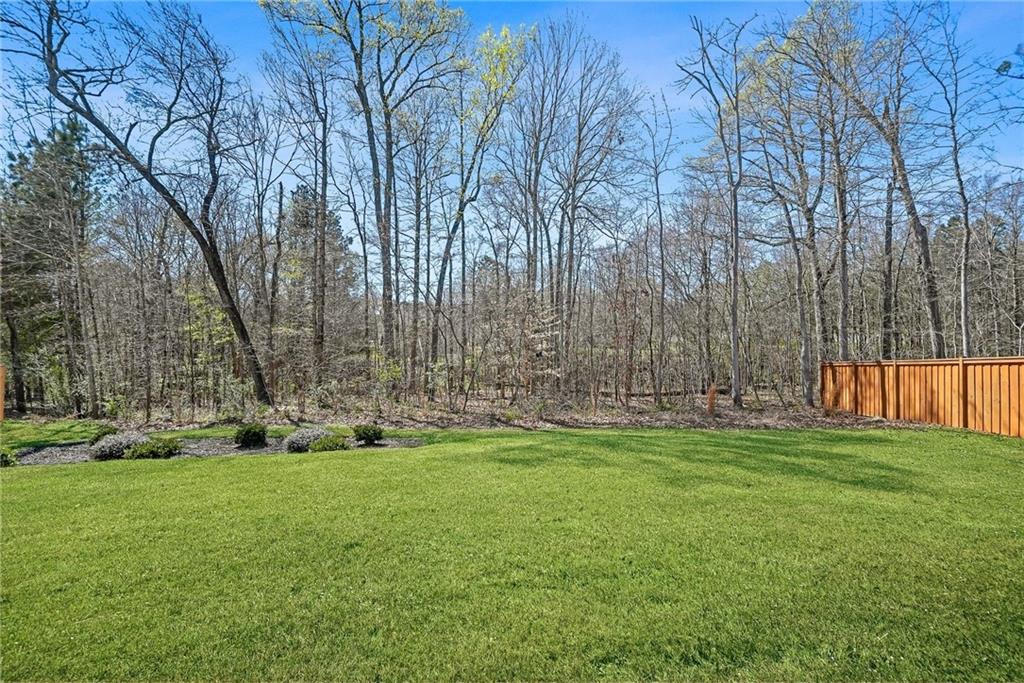 4179 Cedar Commons Way Conley, GA 30288 - Photo 33 of 33