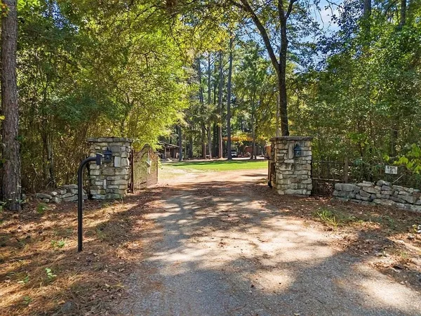 a view of a yard with trees