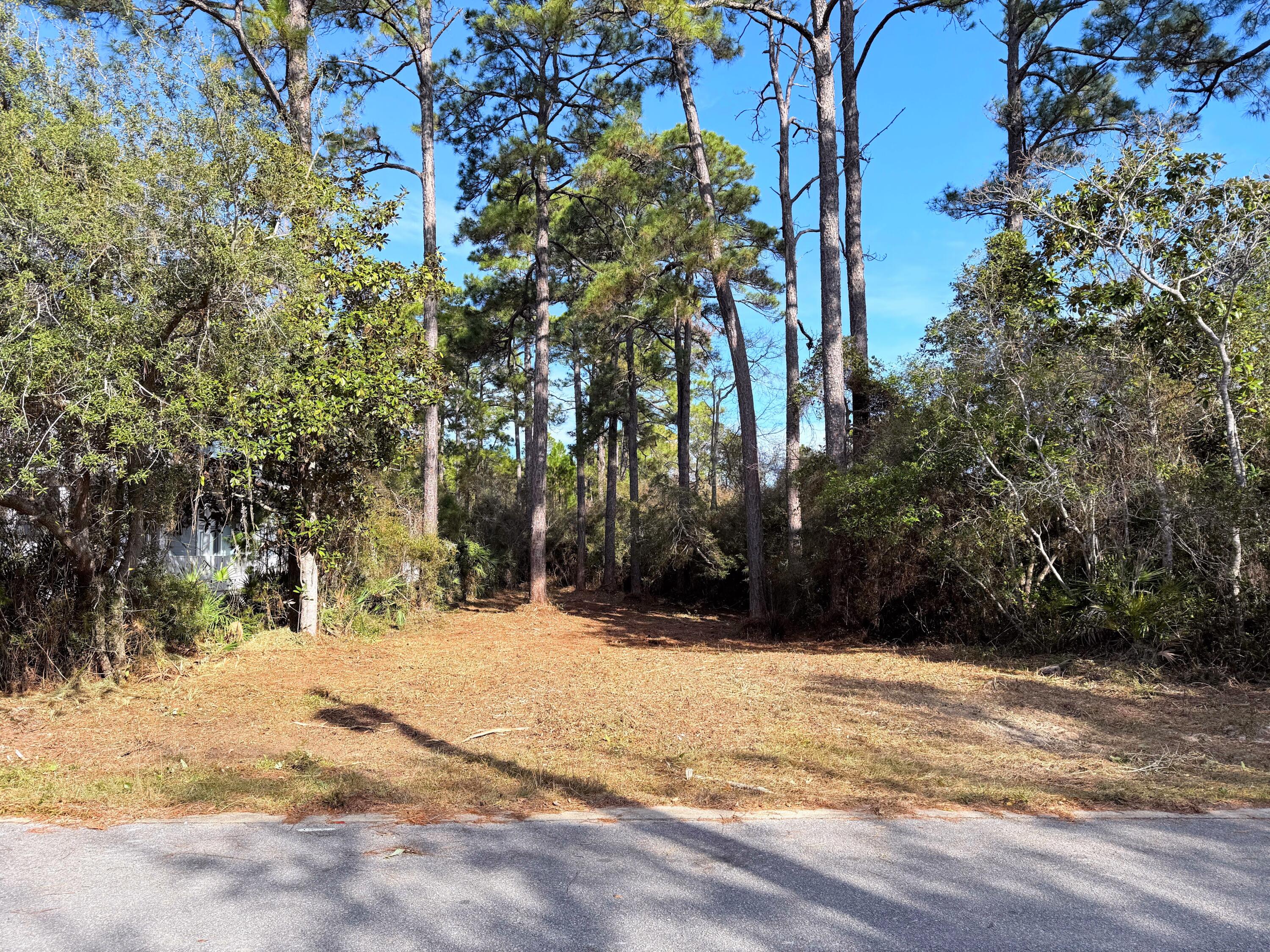 Lot 24 Greenbriar Lane Santa Rosa Beach, FL 32459 - Photo 5 of 16 a view of large space with trees