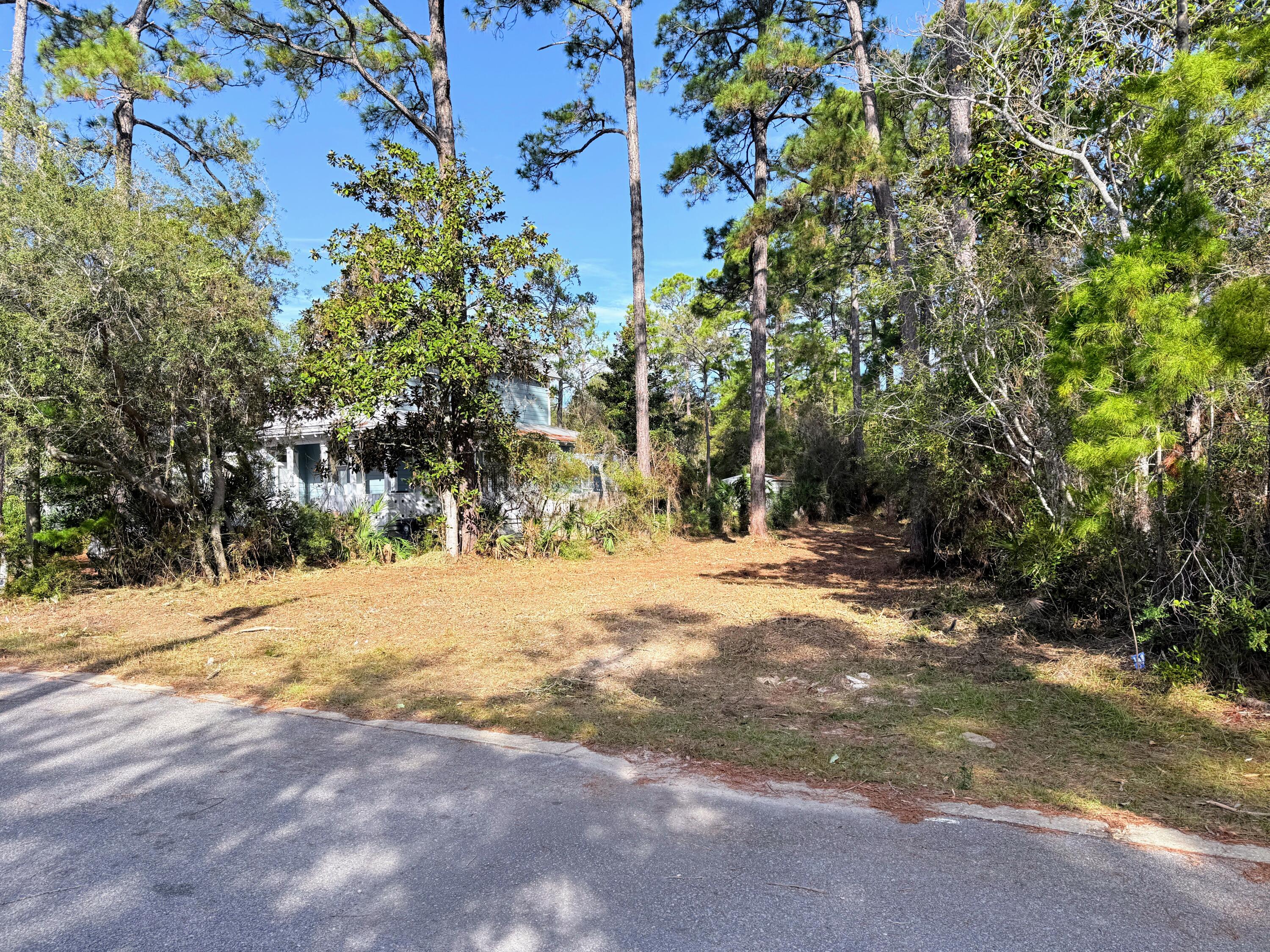 Lot 24 Greenbriar Lane Santa Rosa Beach, FL 32459 - Photo 6 of 16 a view of road and trees