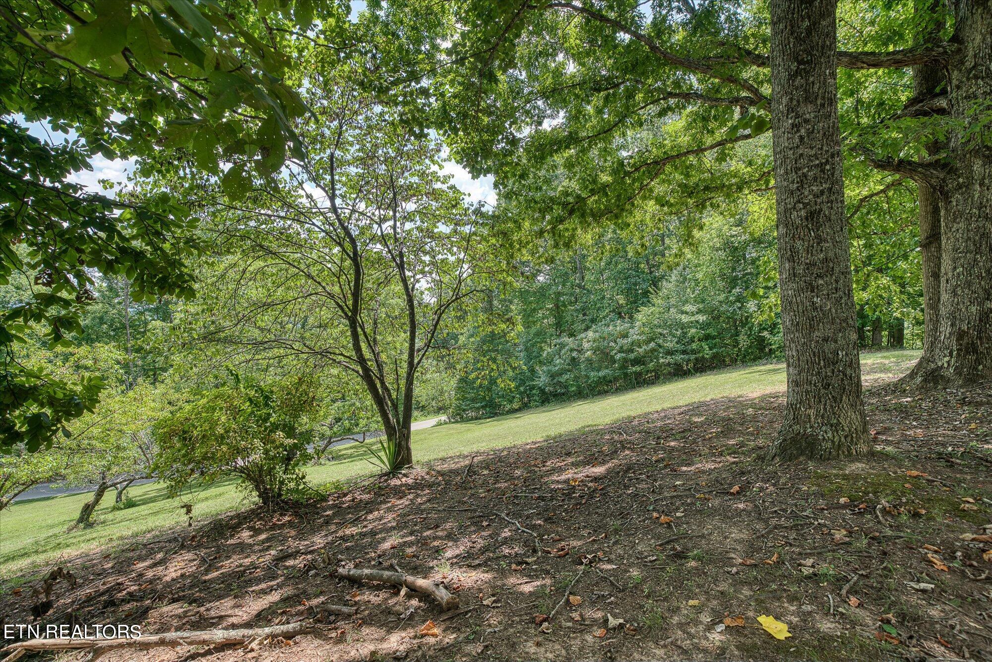 195 Millie Ridge Road Celina, TN 38551 - Photo 11 of 43 11-195 Millie Ridge Rd-59-2