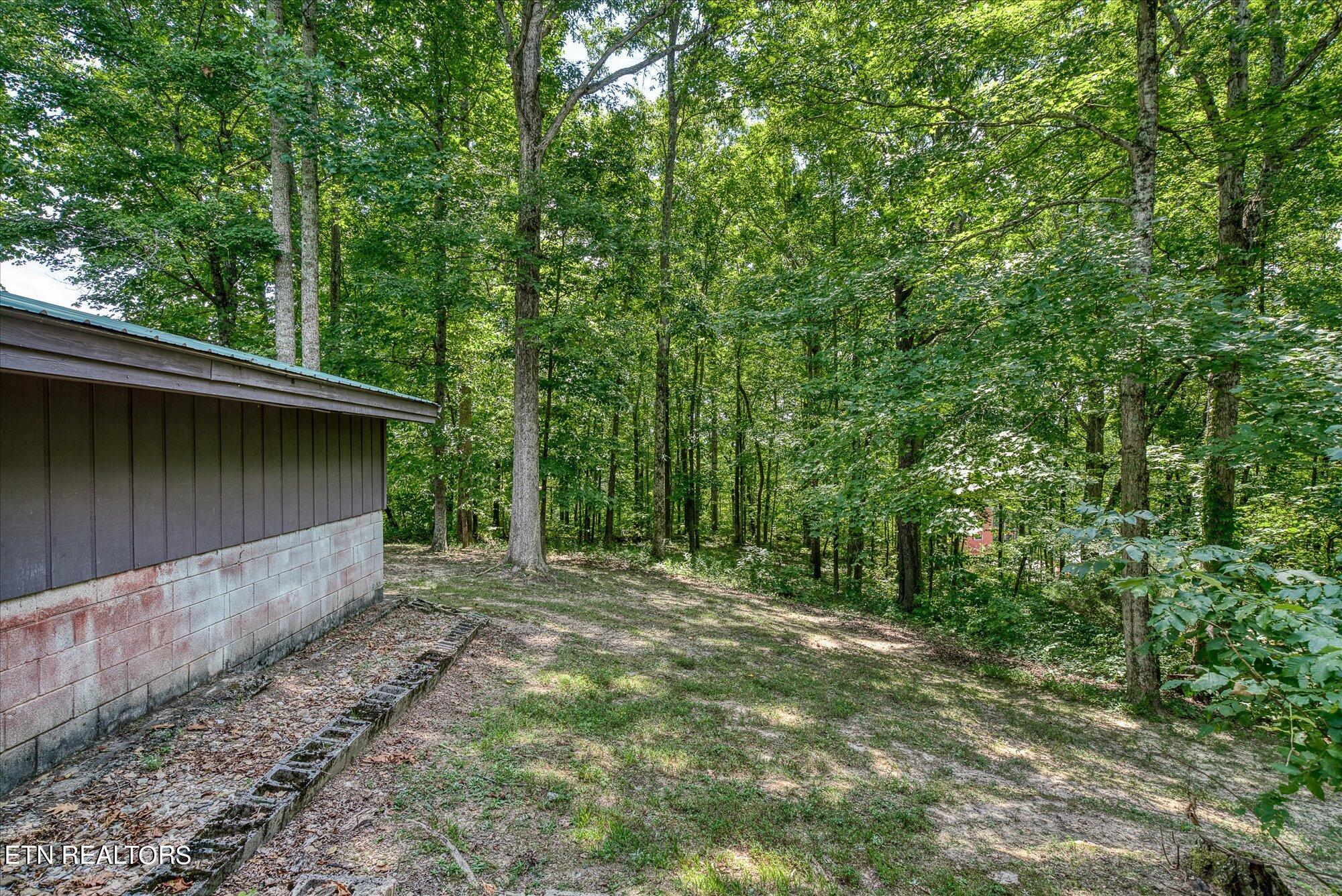 195 Millie Ridge Road Celina, TN 38551 - Photo 9 of 43 09-195 Millie Ridge Rd-49-2