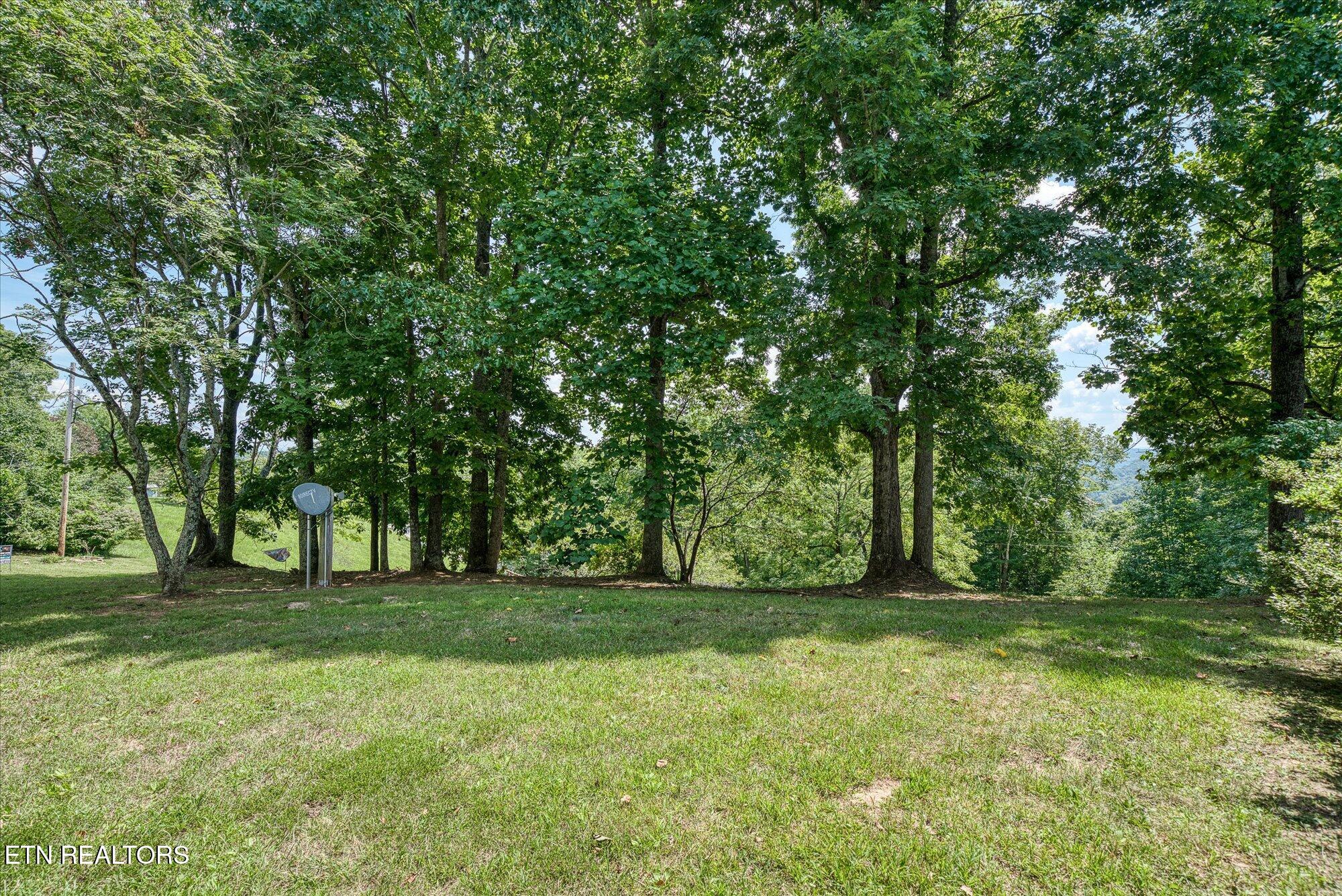 195 Millie Ridge Road Celina, TN 38551 - Photo 10 of 43 10-195 Millie Ridge Rd-53-2