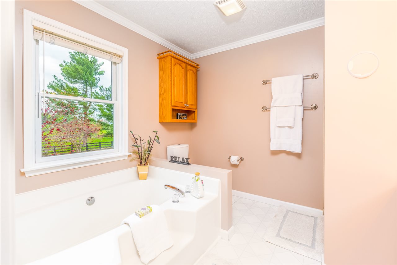 66 Cedar Ridge Road Waynesboro, VA 22980 - Photo 31 of 48 a bathroom with a bathtub sink and a window