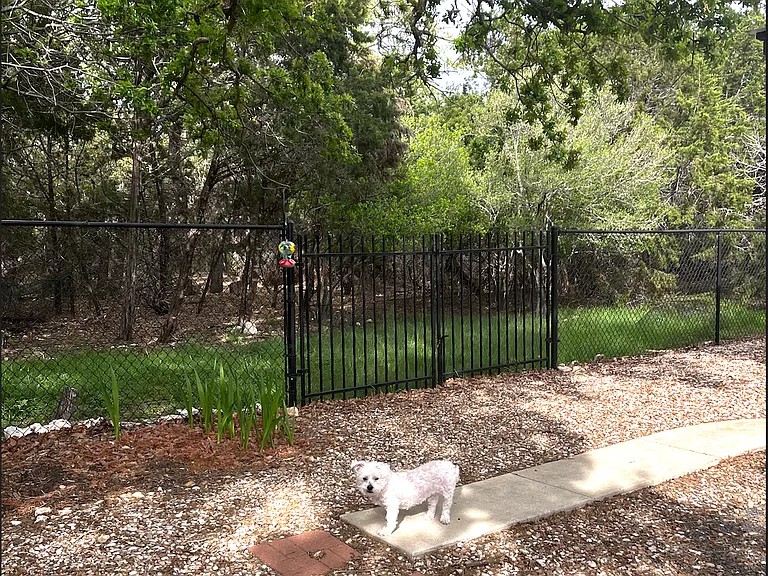 430 Summit Ridge Drive North Point Venture, TX 78645 - Photo 21 of 26 Peaceful backyard