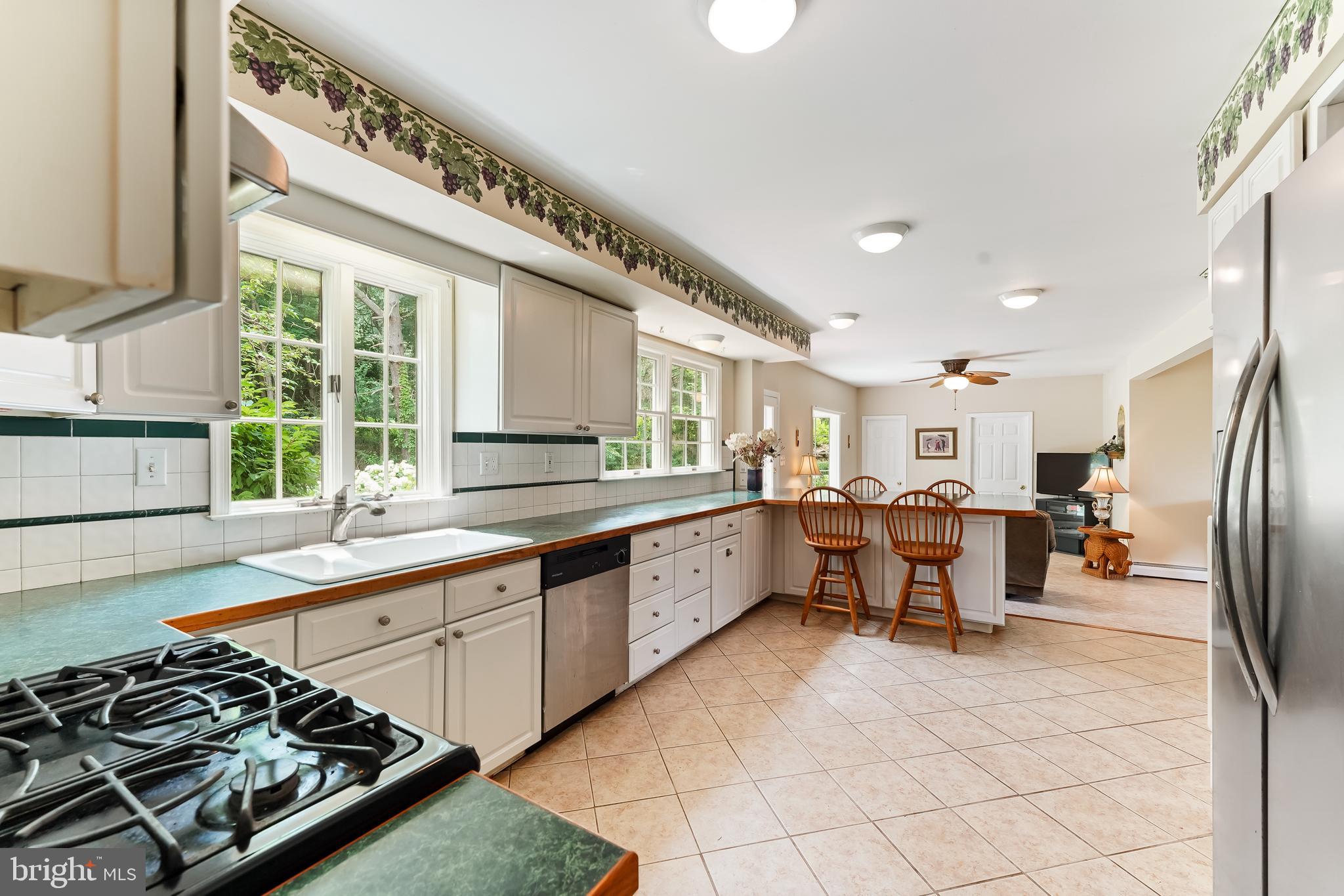 1060 Waterloo Road Berwyn, PA 19312 - Photo 14 of 43 Expansive Kitchen