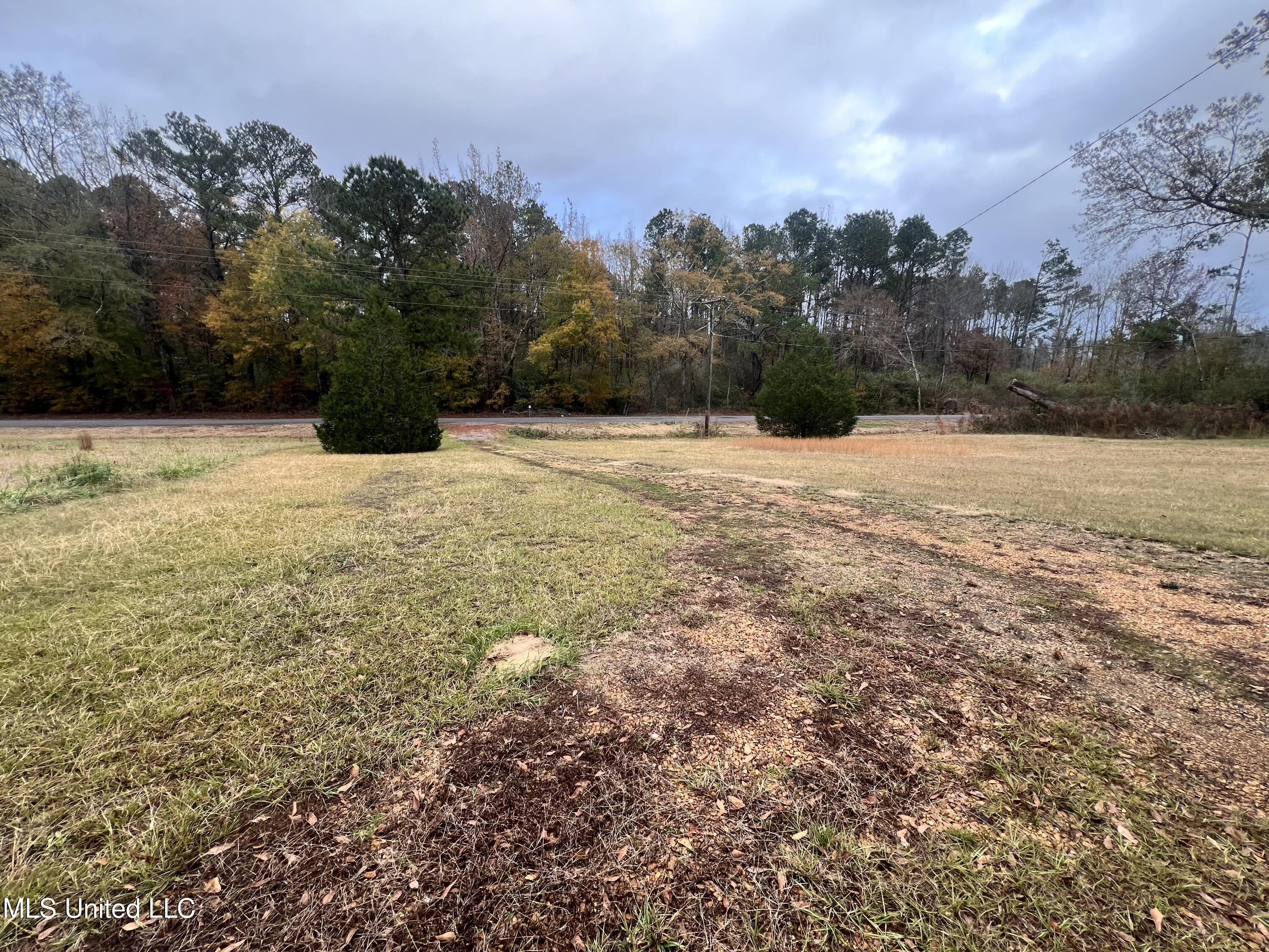 2465 Singleton Road Carthage, MS 39051 - Photo 11 of 12 A0AB2215-A079-41AE-A790-ACC2A391DADF
