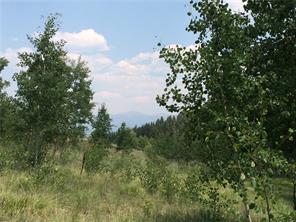 142 Spearpoint Road Como, CO 80456 - Photo 1 of 14 Gallery Image 1