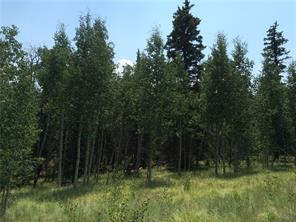 142 Spearpoint Road Como, CO 80456 - Photo 2 of 14 Gallery Image 2