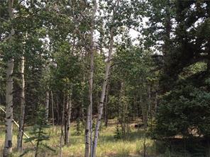 142 Spearpoint Road Como, CO 80456 - Photo 3 of 14 Gallery Image 3