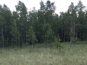142 Spearpoint Road Como, CO 80456 - Photo 9 of 14 Gallery Image 9