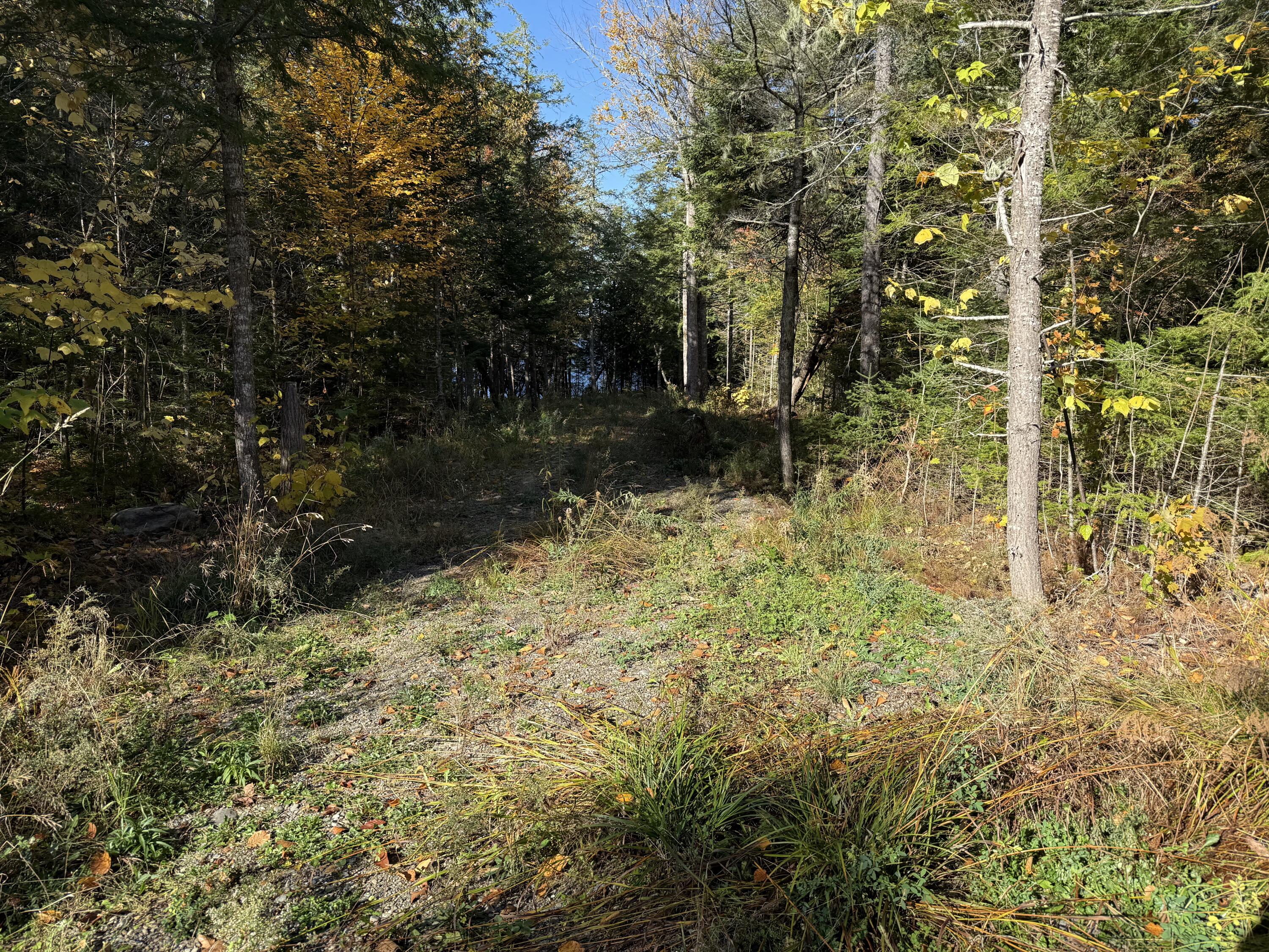 2 East Shore Road Wytopitlock, ME 04497 - Photo 5 of 16
