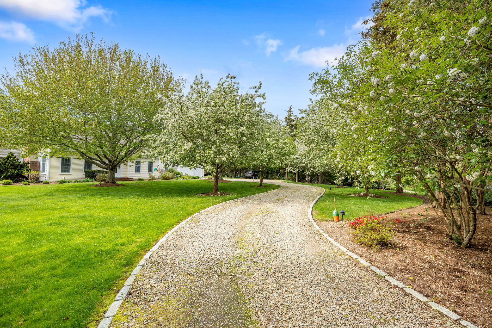 46 Freeman Lane Orleans, MA 02653 - Photo 5 of 74 a view of a park with large trees