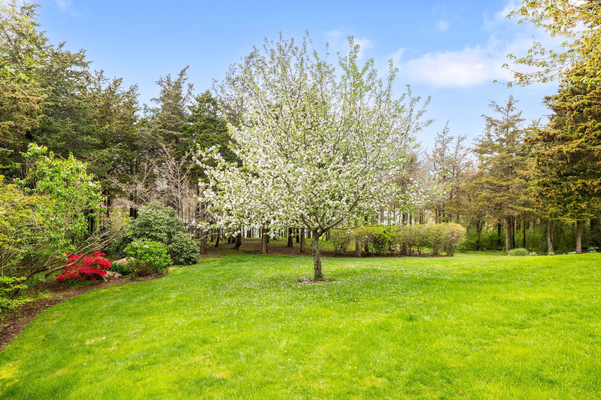 46 Freeman Lane Orleans, MA 02653 - Photo 55 of 74 a view of a golf course with a tree