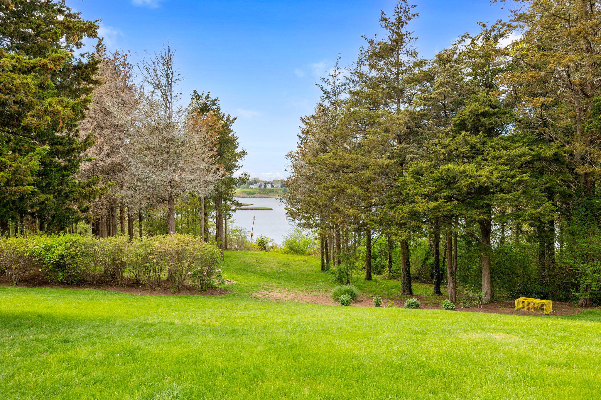 46 Freeman Lane Orleans, MA 02653 - Photo 57 of 74 a view of a park with large trees