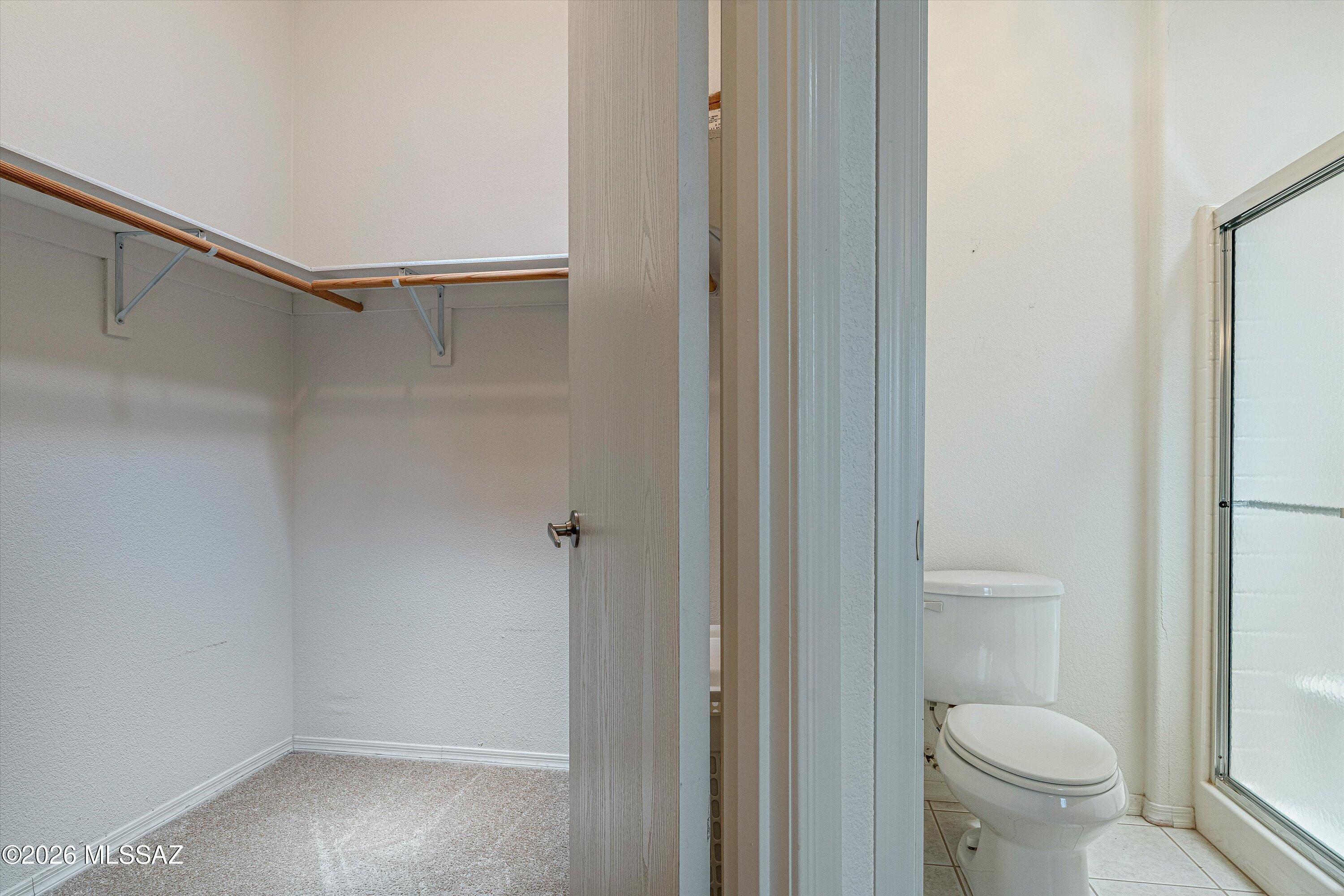 8401 South Kolb Road, Unit 524 Tucson, AZ 85756 - Photo 22 of 31 Primary Bedroom Closet