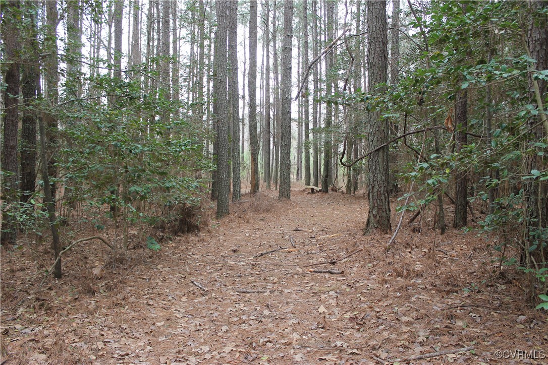 Tbd Tbd Ivor Road Sedley, VA 23878 - Photo 15 of 36 a backyard of a house with lots of green space