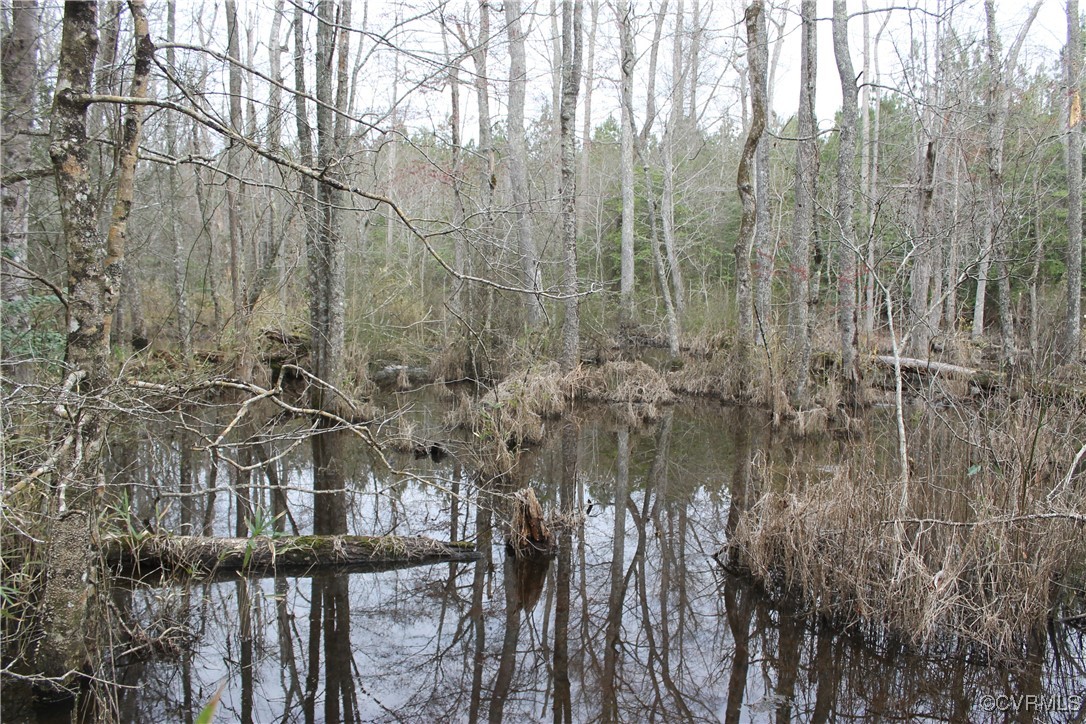 Tbd Tbd Ivor Road Sedley, VA 23878 - Photo 20 of 36 a view of a lake with large trees