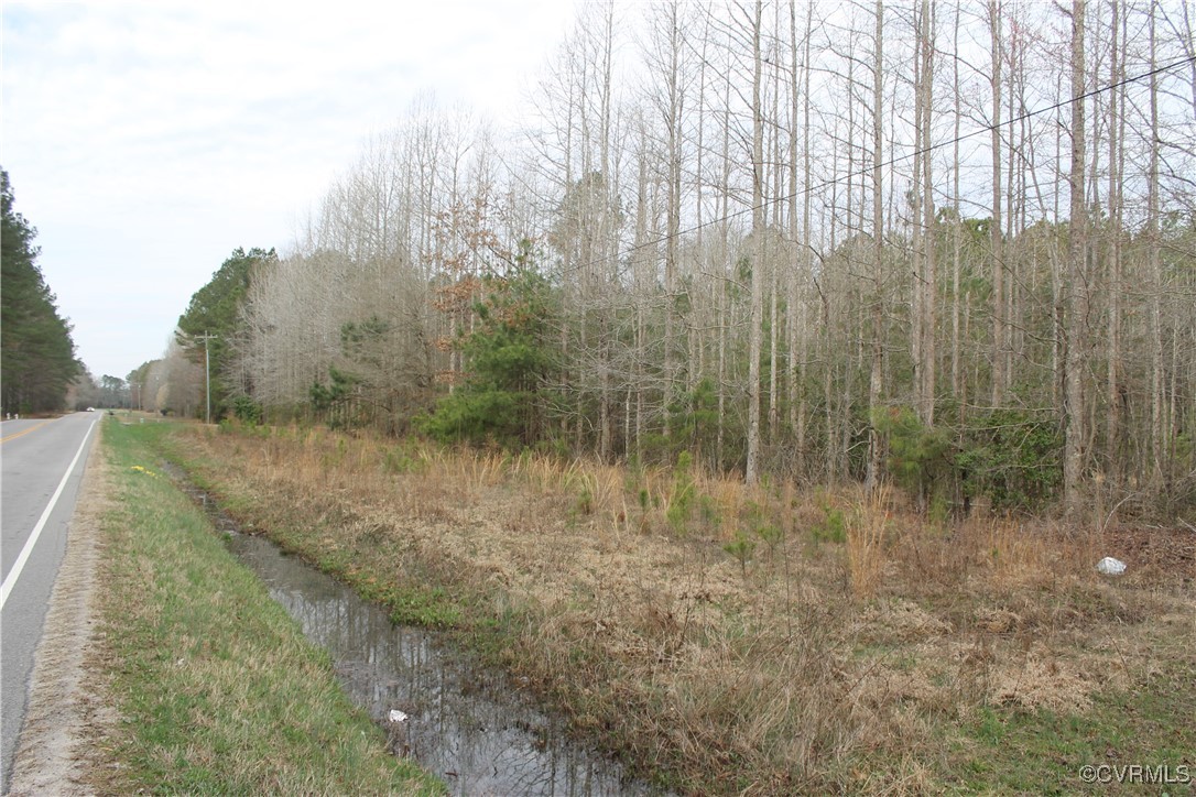 Tbd Tbd Ivor Road Sedley, VA 23878 - Photo 2 of 36 a view of a forest with trees in the background