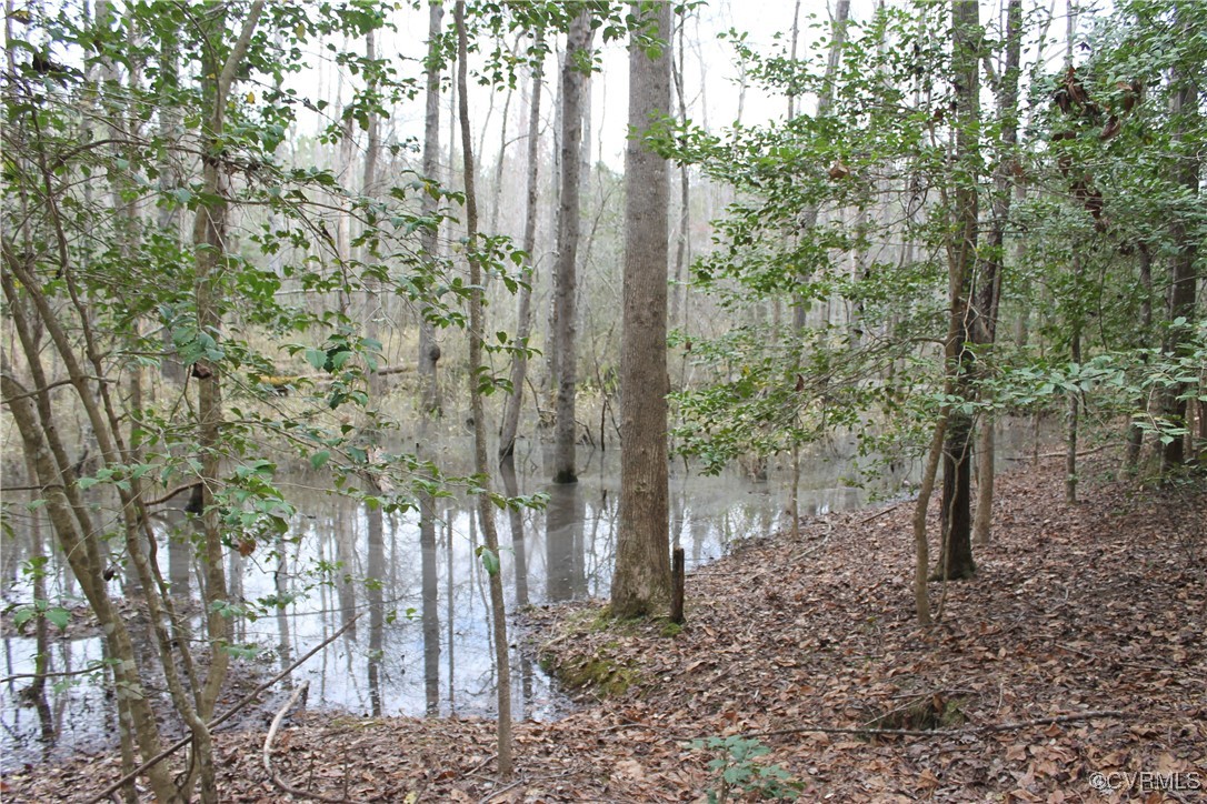 Tbd Tbd Ivor Road Sedley, VA 23878 - Photo 26 of 36 a backyard of a house with lots of green space