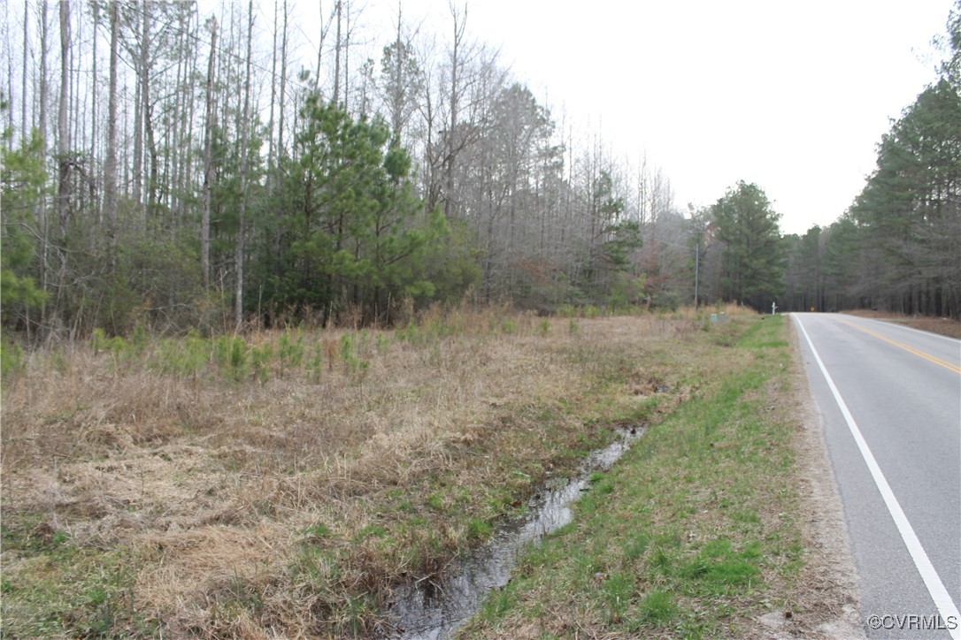 Tbd Tbd Ivor Road Sedley, VA 23878 - Photo 3 of 36 a view of a yard with trees