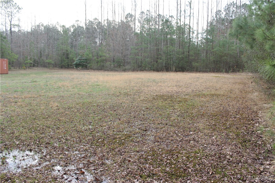 Tbd Tbd Ivor Road Sedley, VA 23878 - Photo 31 of 36 a view of a dry yard with trees