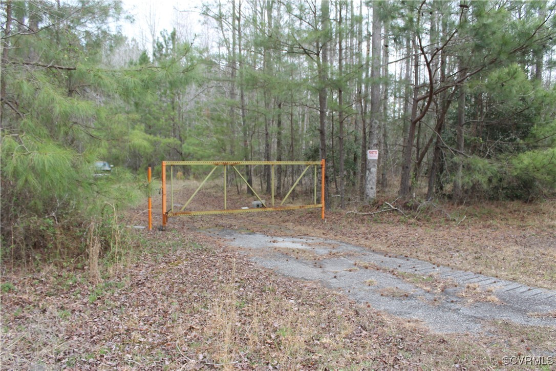 Tbd Tbd Ivor Road Sedley, VA 23878 - Photo 4 of 36 a view of backyard with green space