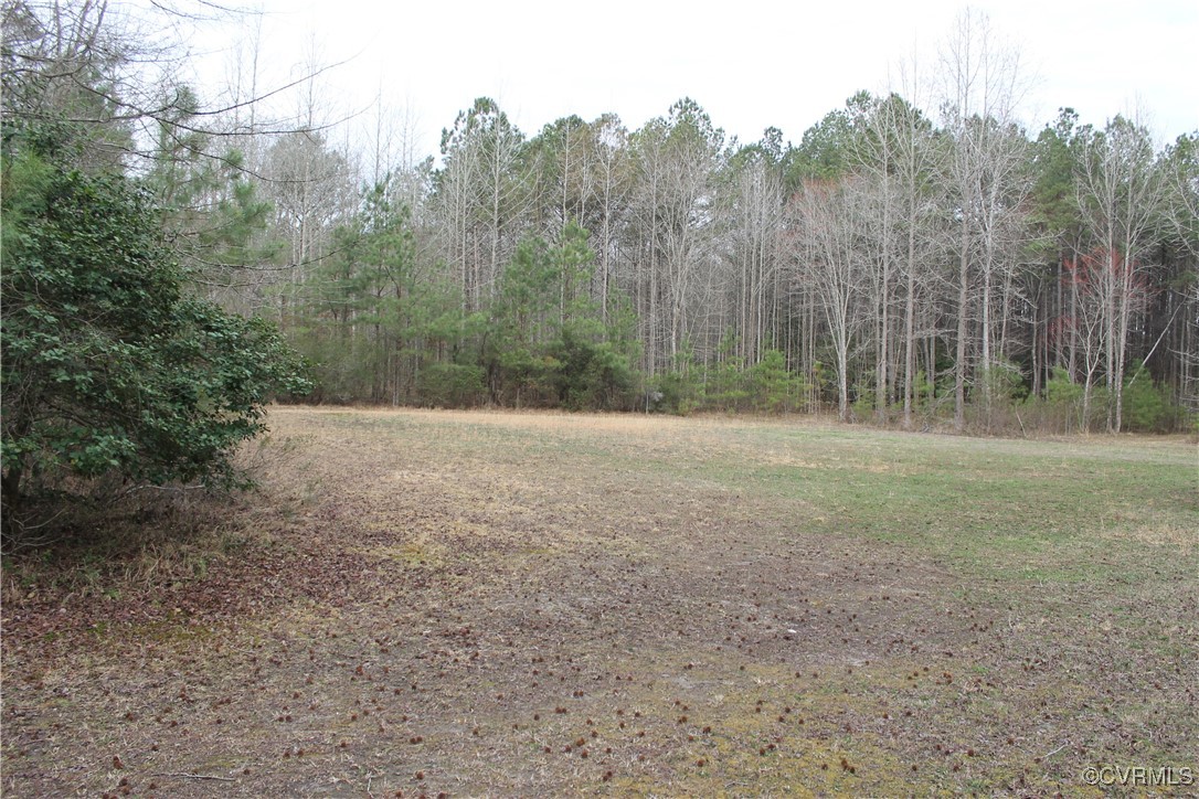 Tbd Tbd Ivor Road Sedley, VA 23878 - Photo 6 of 36 a view of outdoor space with trees