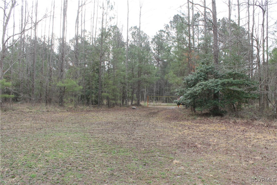 Tbd Tbd Ivor Road Sedley, VA 23878 - Photo 8 of 36 a view of a forest with trees in the background