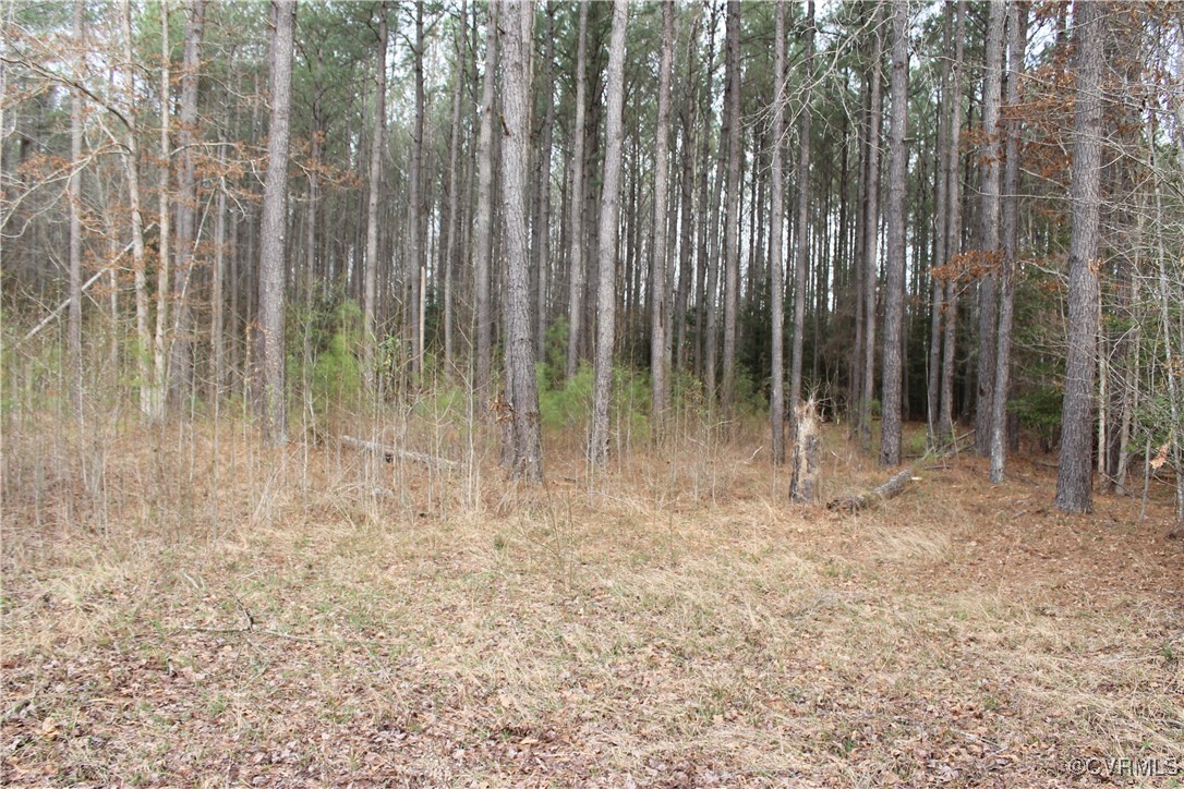 Tbd Tbd Ivor Road Sedley, VA 23878 - Photo 10 of 36 a view of backyard with green space