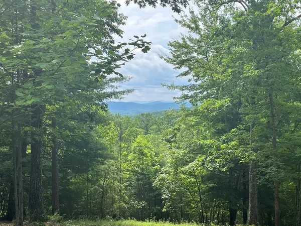 $24,800 | Lot 49 Burger Road, Murphy, NC 28906
